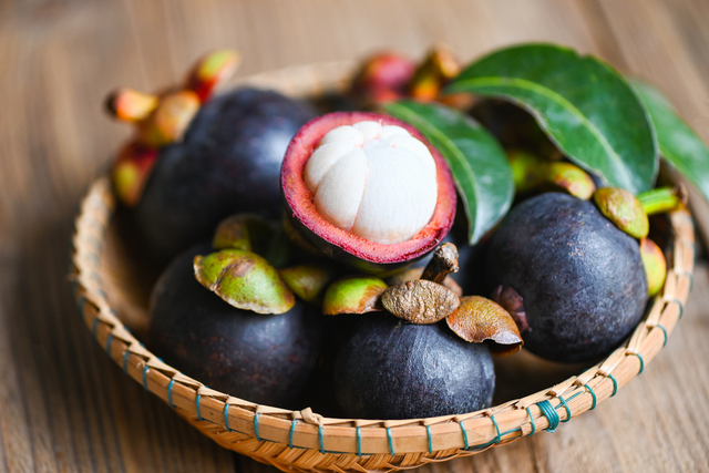 Mangosteen, 