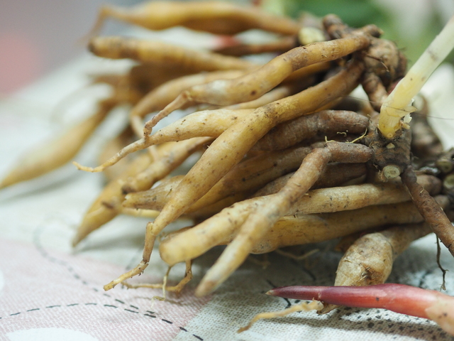 Ginseng: Know All about The 100% Natural Superfood